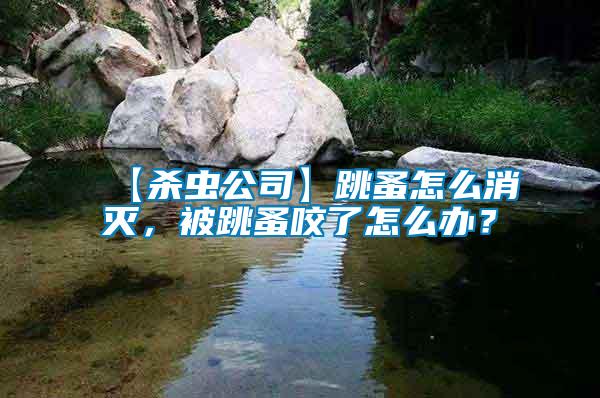 【殺蟲公司】跳蚤怎么消滅，被跳蚤咬了怎么辦？