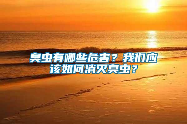 臭蟲(chóng)有哪些危害？我們應(yīng)該如何消滅臭蟲(chóng)？