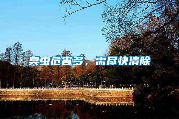 臭蟲危害多，需盡快清除