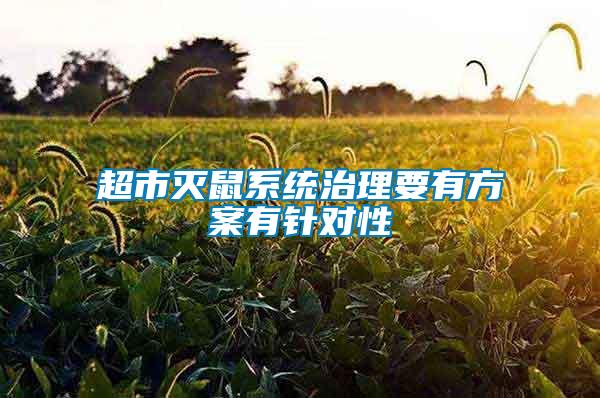 超市滅鼠系統治理要有方案有針對性