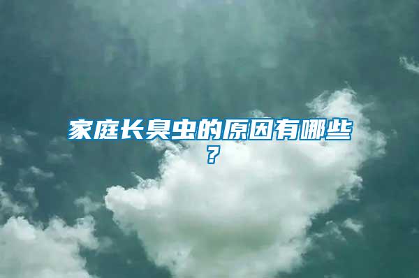 家庭長臭蟲的原因有哪些？