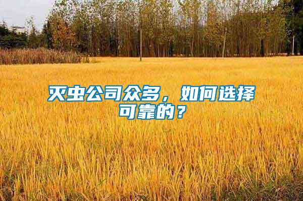 滅蟲公司眾多，如何選擇可靠的？
