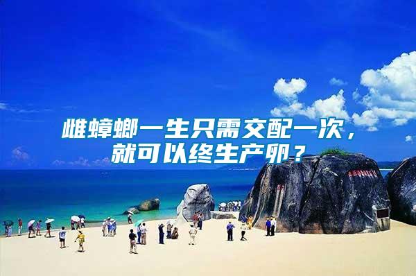 雌蟑螂一生只需交配一次，就可以終生產(chǎn)卵？