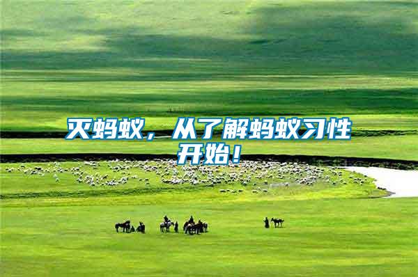 滅螞蟻，從了解螞蟻習(xí)性開始！
