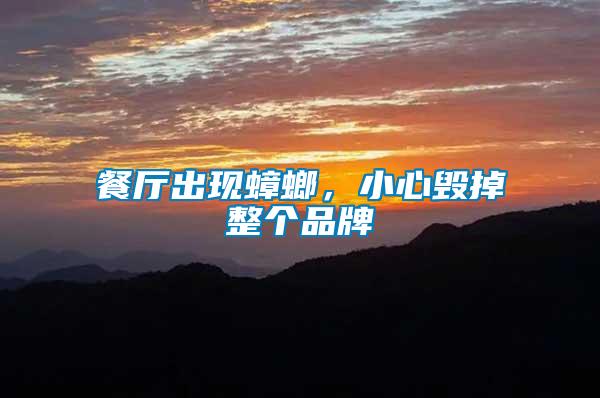 餐廳出現蟑螂，小心毀掉整個品牌