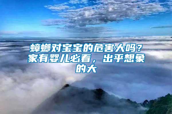 蟑螂對寶寶的危害大嗎？家有嬰兒必看，出乎想象的大