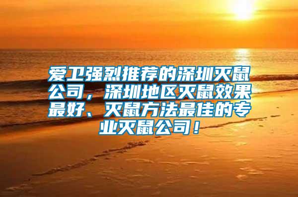 愛衛(wèi)強(qiáng)烈推薦的深圳滅鼠公司，深圳地區(qū)滅鼠效果最好、滅鼠方法最佳的專業(yè)滅鼠公司！