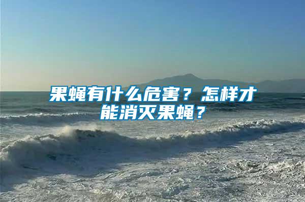 果蠅有什么危害？怎樣才能消滅果蠅？