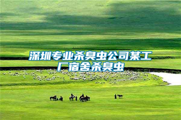 深圳專業殺臭蟲公司某工廠宿舍殺臭蟲
