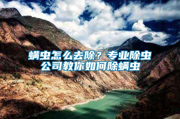 螨蟲怎么去除？專業(yè)除蟲公司教你如何除螨蟲