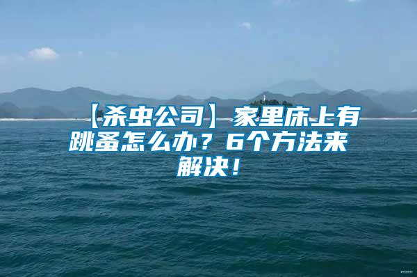【殺蟲公司】家里床上有跳蚤怎么辦？6個方法來解決！