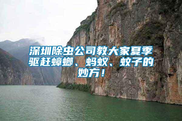 深圳除蟲公司教大家夏季驅趕蟑螂、螞蟻、蚊子的妙方！