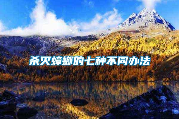 殺滅蟑螂的七種不同辦法