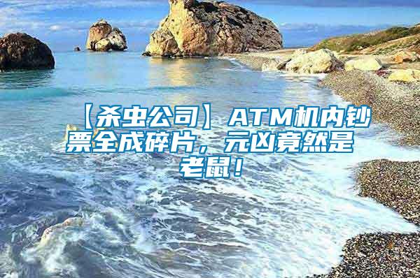 【殺蟲公司】ATM機內鈔票全成碎片，元兇竟然是老鼠！