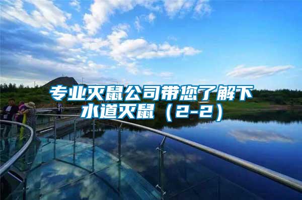 專業滅鼠公司帶您了解下水道滅鼠（2-2）