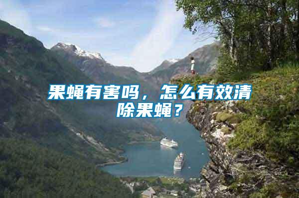 果蠅有害嗎，怎么有效清除果蠅？