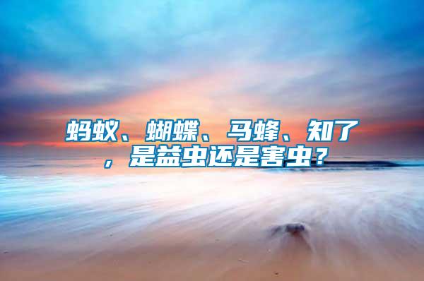 螞蟻、蝴蝶、馬蜂、知了，是益蟲還是害蟲？