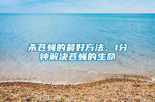 殺蒼蠅的最好方法，1分鐘解決蒼蠅的生命