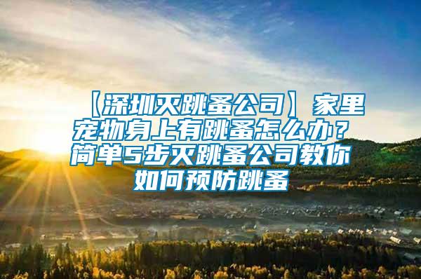【深圳滅跳蚤公司】家里寵物身上有跳蚤怎么辦？簡(jiǎn)單5步滅跳蚤公司教你如何預(yù)防跳蚤