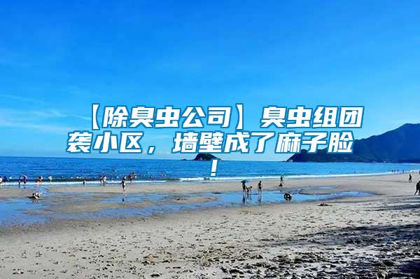 【除臭蟲公司】臭蟲組團襲小區，墻壁成了麻子臉！