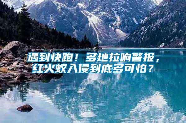 遇到快跑！多地拉響警報(bào)，紅火蟻入侵到底多可怕？
