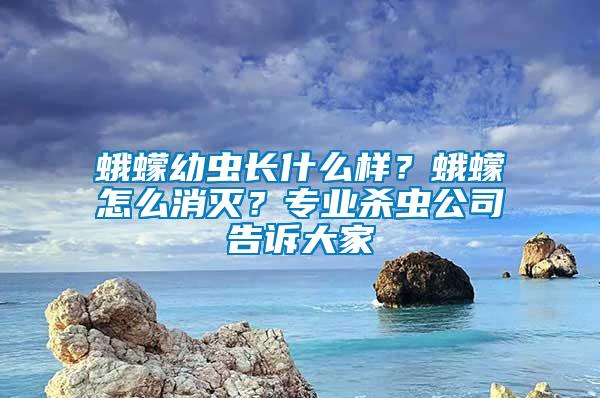 蛾蠓幼蟲長什么樣？蛾蠓怎么消滅？專業(yè)殺蟲公司告訴大家