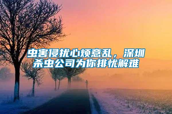蟲害侵擾心煩意亂，深圳殺蟲公司為你排憂解難