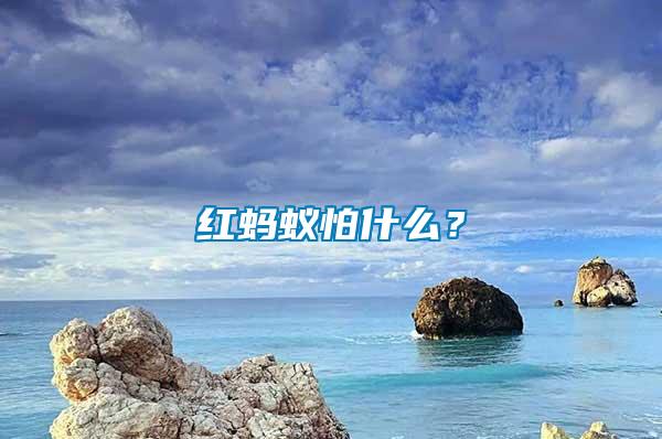 紅螞蟻怕什么？