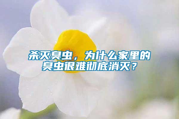 殺滅臭蟲，為什么家里的臭蟲很難徹底消滅？