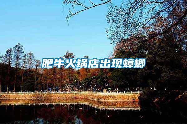 肥牛火鍋店出現蟑螂