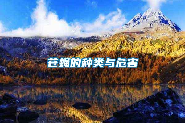 蒼蠅的種類(lèi)與危害