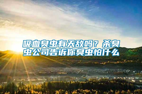 吸血臭蟲有天敵嗎？殺臭蟲公司告訴你臭蟲怕什么