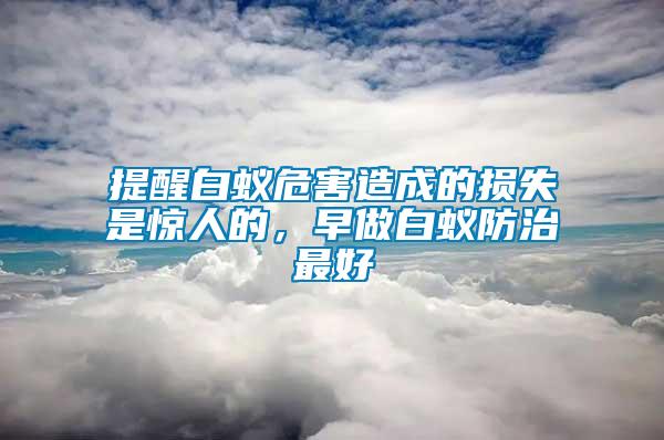 提醒白蟻危害造成的損失是驚人的，早做白蟻防治最好