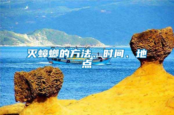 滅蟑螂的方法、時間、地點