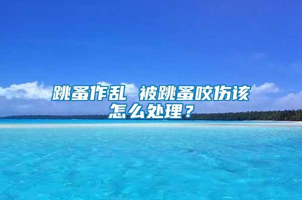 跳蚤作亂 被跳蚤咬傷該怎么處理？