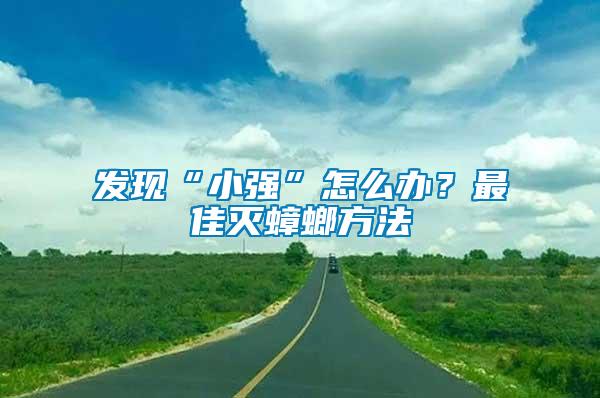 發現“小強”怎么辦？最佳滅蟑螂方法
