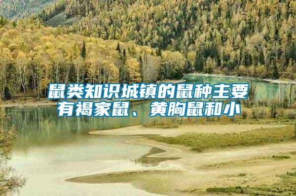 鼠類知識城鎮的鼠種主要有褐家鼠、黃胸鼠和小