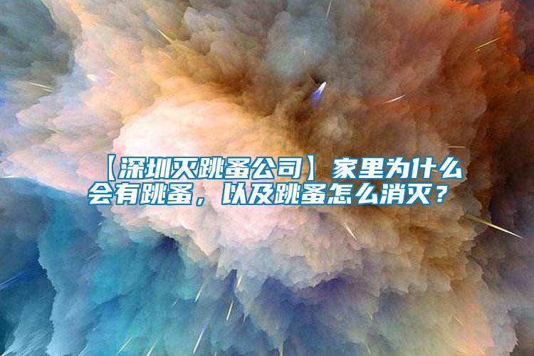 【深圳滅跳蚤公司】家里為什么會有跳蚤，以及跳蚤怎么消滅？