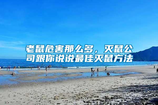 老鼠危害那么多，滅鼠公司跟你說說最佳滅鼠方法