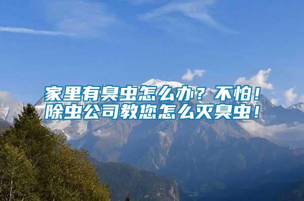 家里有臭蟲怎么辦？不怕！除蟲公司教您怎么滅臭蟲！
