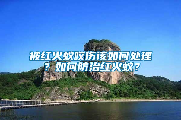 被紅火蟻咬傷該如何處理？如何防治紅火蟻？