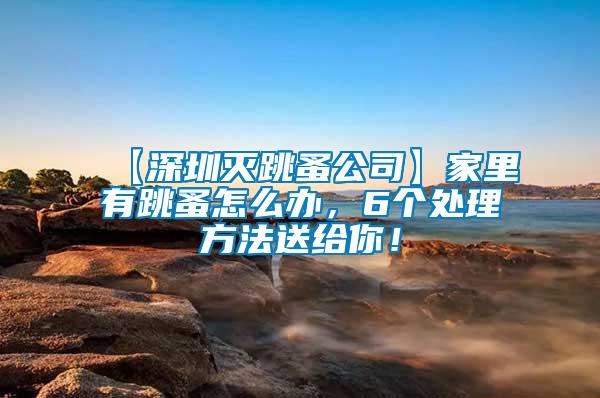 【深圳滅跳蚤公司】家里有跳蚤怎么辦，6個處理方法送給你！