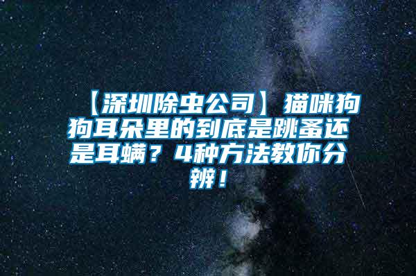 【深圳除蟲公司】貓咪狗狗耳朵里的到底是跳蚤還是耳螨？4種方法教你分辨！