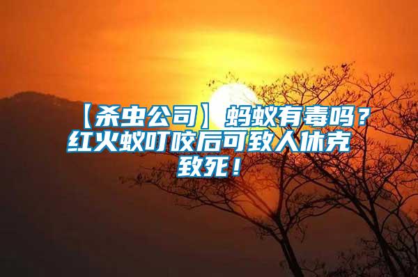 【殺蟲公司】螞蟻有毒嗎？紅火蟻叮咬后可致人休克致死！