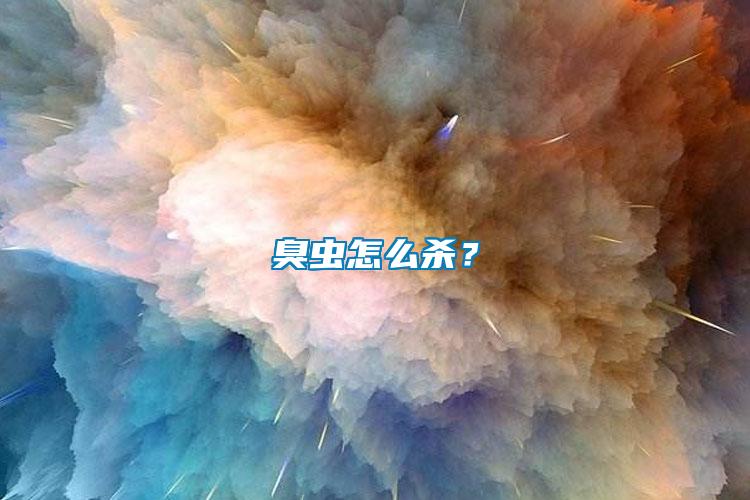 臭蟲怎么殺？