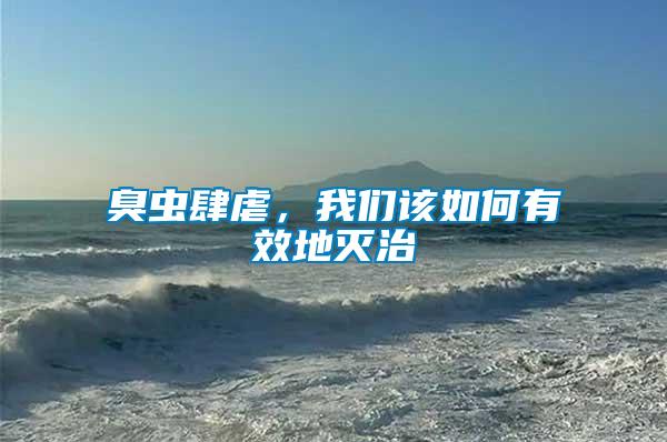臭蟲肆虐，我們該如何有效地滅治