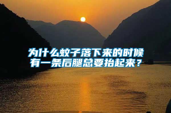 為什么蚊子落下來的時候有一條后腿總要抬起來？