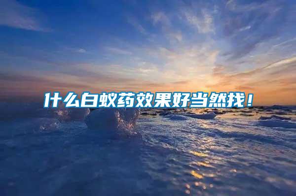 什么白蟻藥效果好當然找！