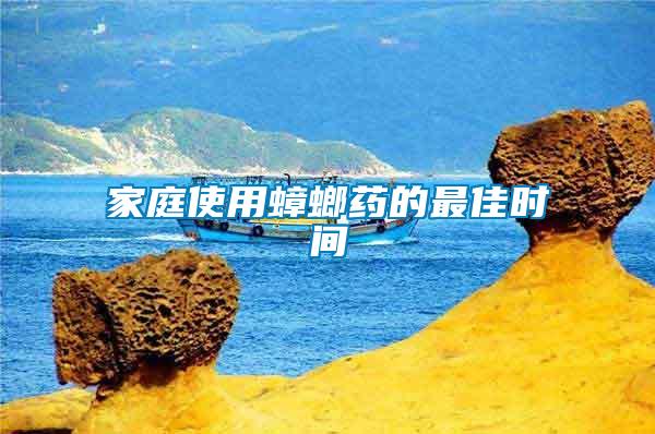 家庭使用蟑螂藥的最佳時間