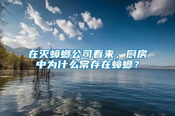 在滅蟑螂公司看來,廚房中為什么常存在蟑螂?